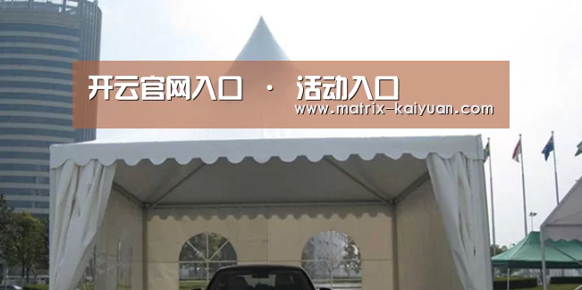 案例标题八