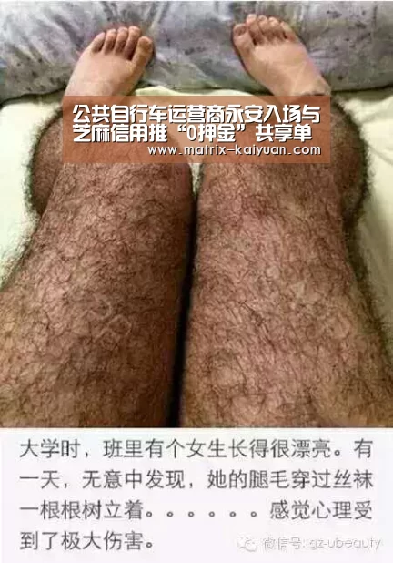 公共自行车运营商永安入场与芝麻信用推“0押金”共享单车_开云下载网址