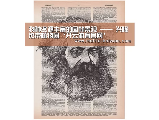开云下载网址