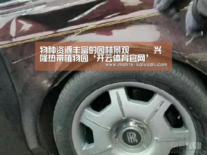 开云体育官网