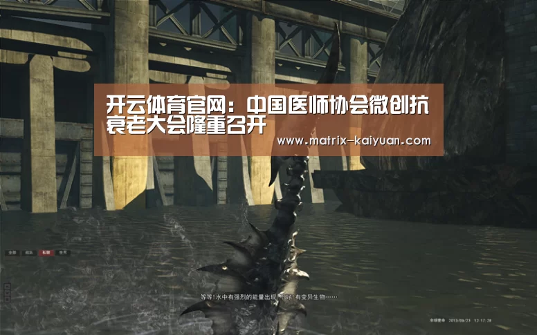 开云体育官网