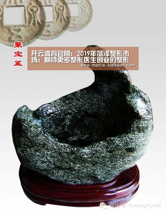 开云体育网站
