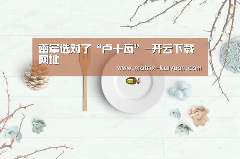 雷军选对了“卢十瓦”-开云下载网址(图4) 开云下载网址