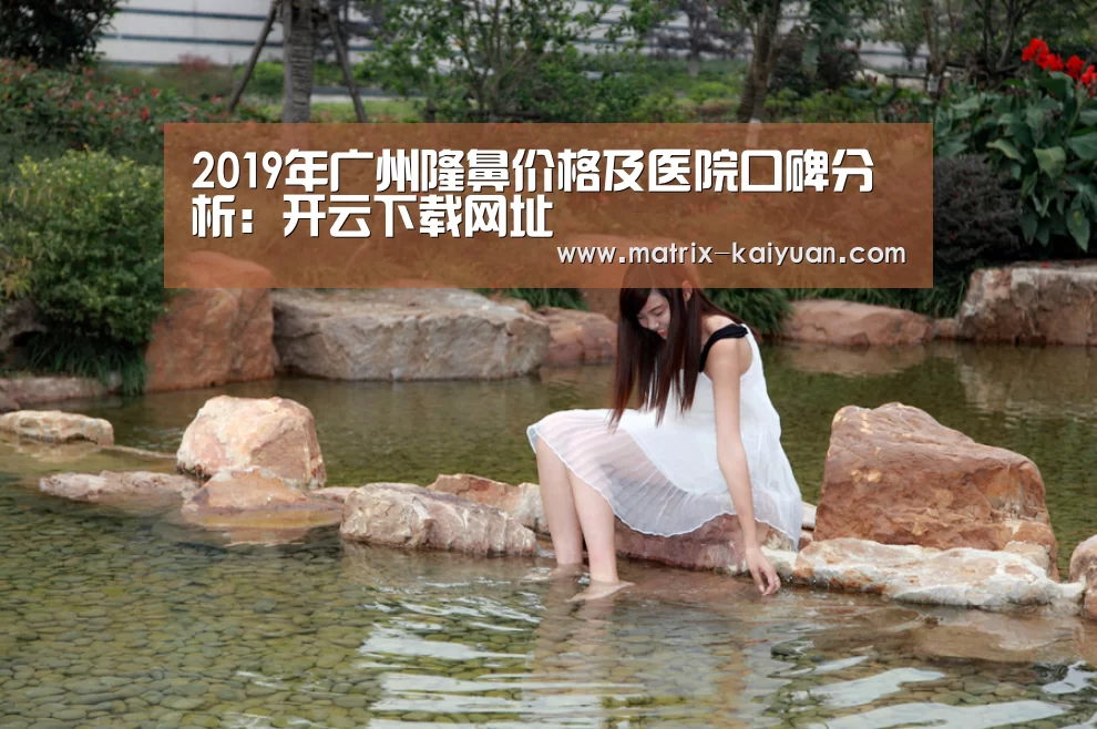2019年广州隆鼻价格及医院口碑分析:开云下载网址(图2) 开云体育官网