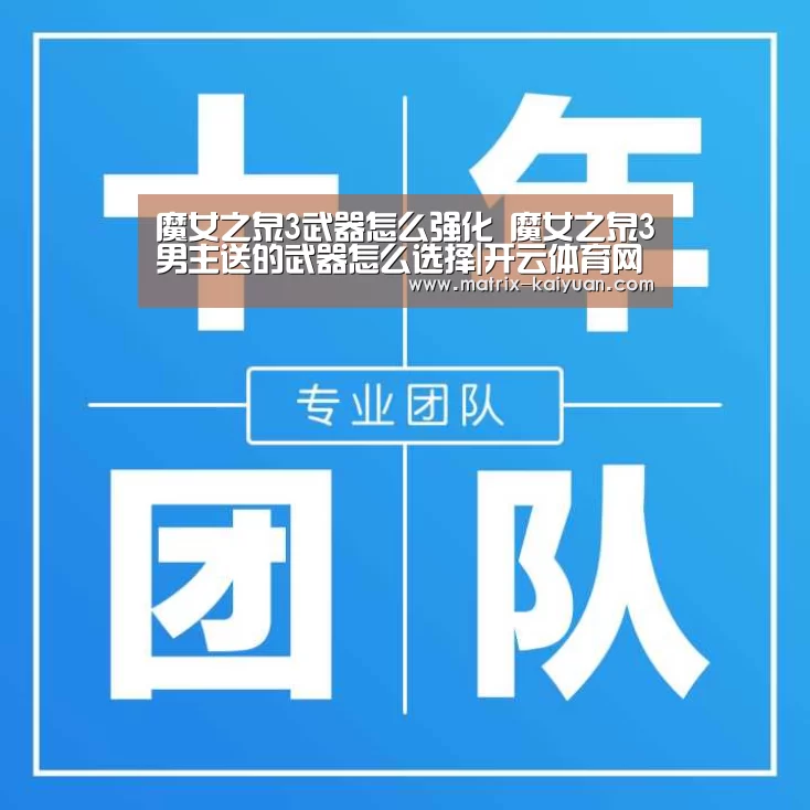 魔女之泉3武器怎么强化 魔女之泉3男主送的武器怎么选择|开云体育网站(图3) 开云体育网站