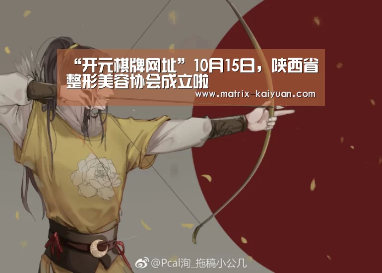 “开元棋牌网址”10月15日,陕西省整形美容协会成立啦(图3) 开云体育网站