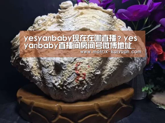 yesyanbaby现在在哪直播?yesyanbaby直播间房间号微博地址_开云下载网址
